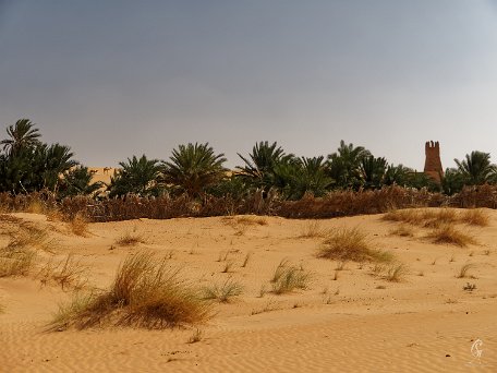 PB010094_DxO Mauritanie 2019 - Train du désert