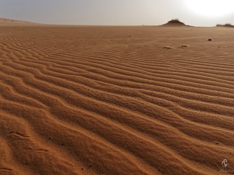 PA310485_DxO Mauritanie 2019 - Train du désert