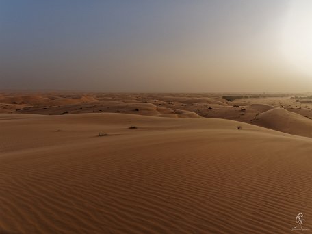 PA310488_DxO Mauritanie 2019 - Train du désert