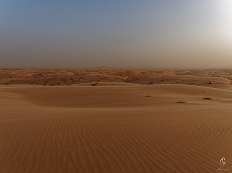 PA310489_DxO Mauritanie 2019 - Train du désert