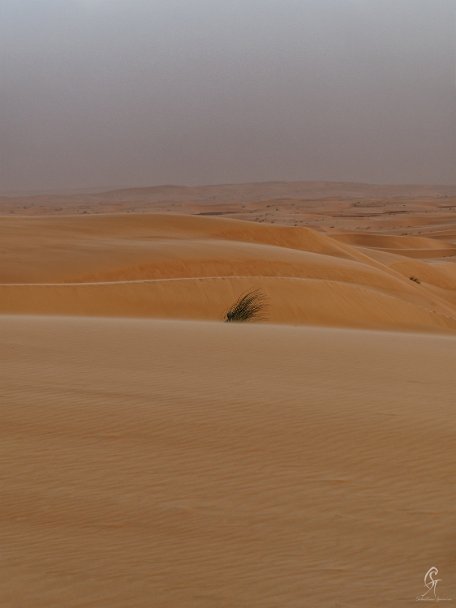 PA310493_DxO Mauritanie 2019 - Train du désert