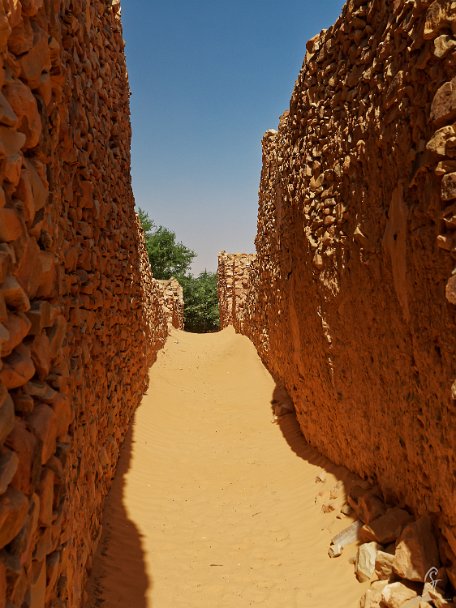 PB010053_DxO Mauritanie 2019 - Train du désert