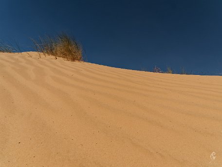 PB010087_DxO Mauritanie 2019 - Train du désert