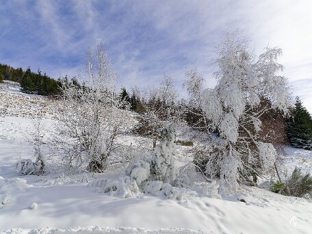 P2093564_DxO