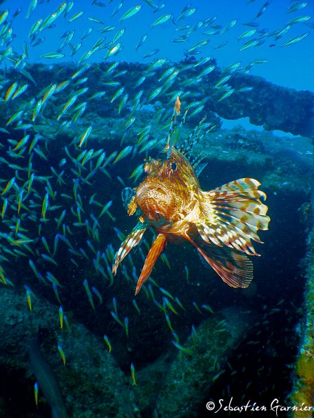 Ocean-Indien-37