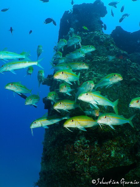 Ocean-Indien-38