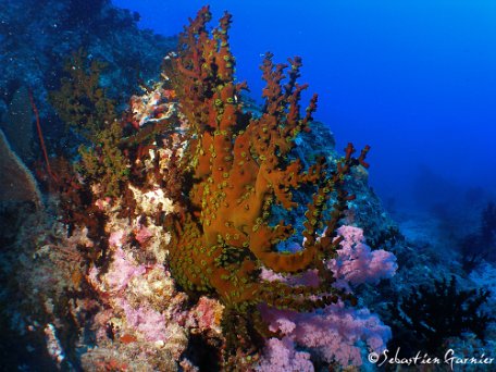 Ocean-Indien-41