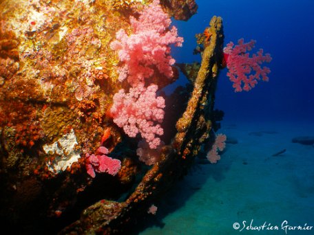Ocean-Indien-50