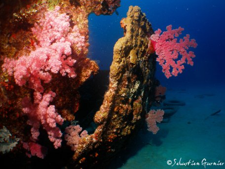 Ocean-Indien-51