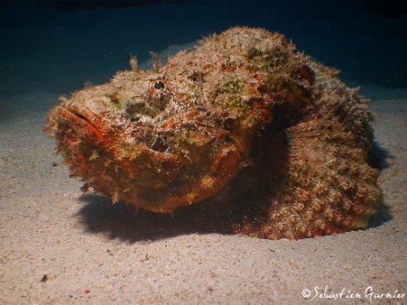 Ocean-Indien-53
